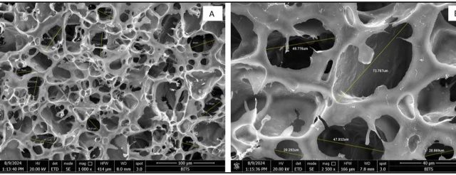 3D-Printed TPMS Membranes Could Make Artificial Lungs More Efficient