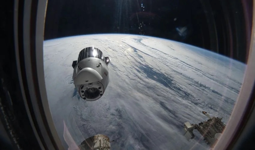 Auxilium Bioprints Kidney and Liver Tissue in Space for the First Time