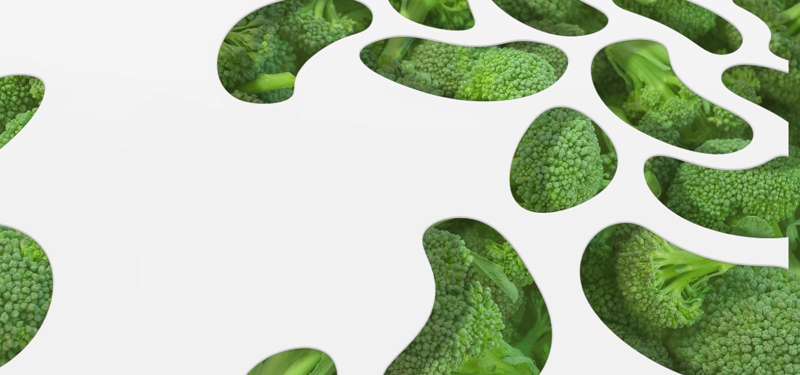 Dutch 3D-Printed Food Company Enters Belgian Care Homes With Dysphagia Line