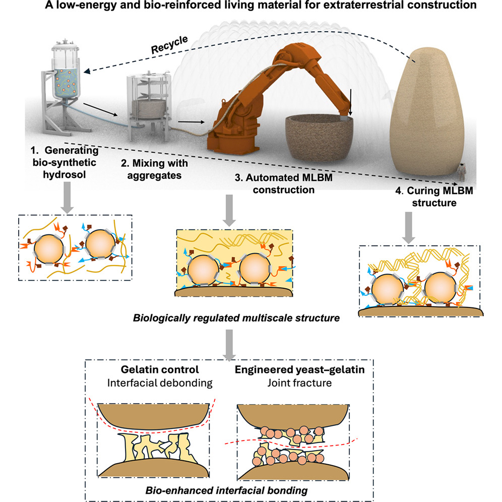 HKUST Engineers 3D Print Mars Housing From Yeast and Rock Dust