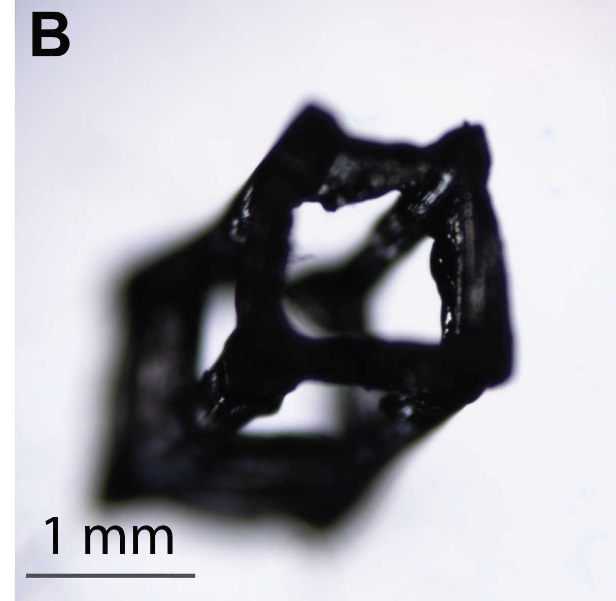 Researchers Print Full 3D Shapes in One Shot Using Holographic Light