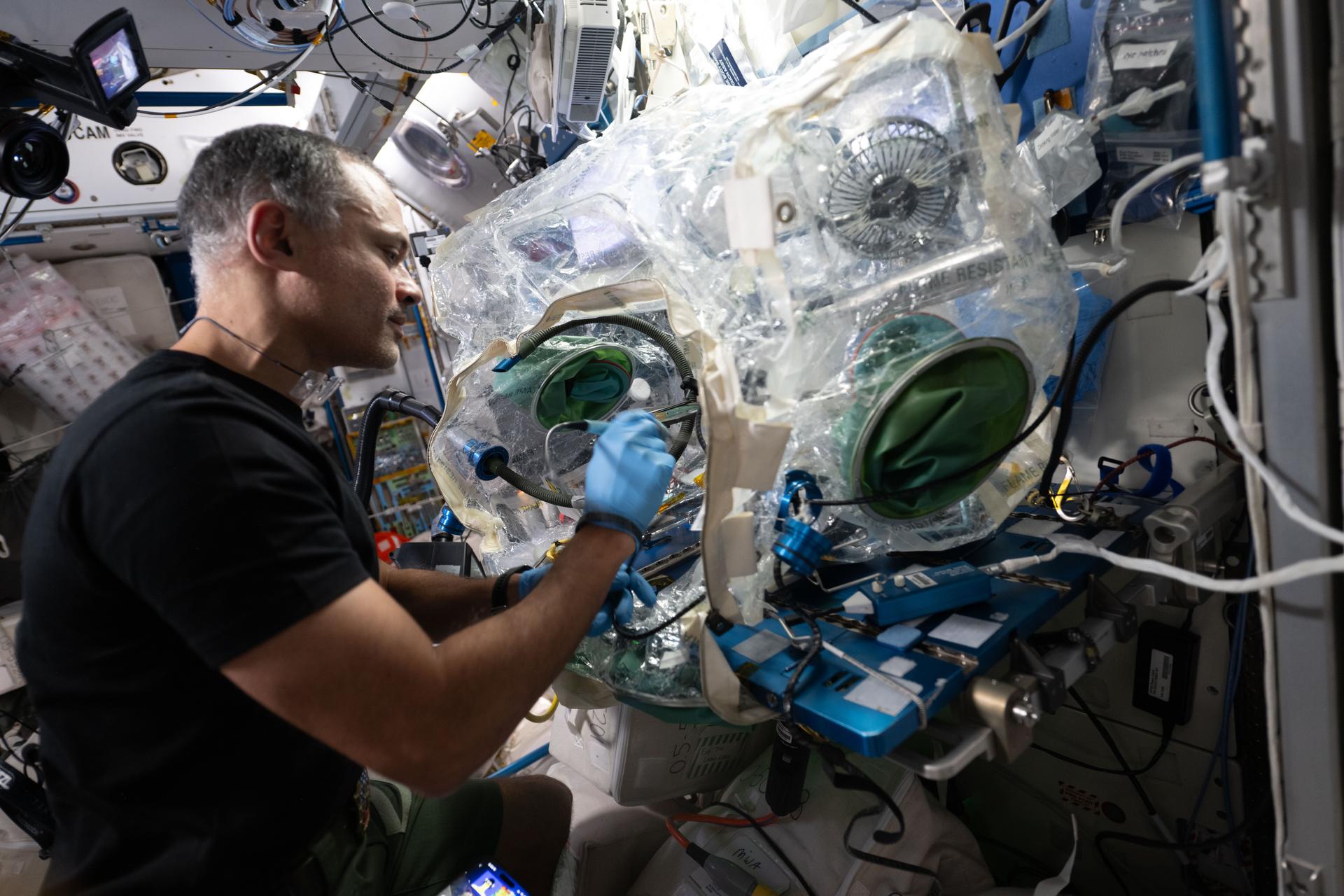 ISS Crew Bioprints Cartilage Tissue in Microgravity