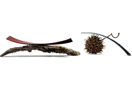 MIT Framework Turns Pinecone Mechanics Into 3D-Printed Adaptive Materials