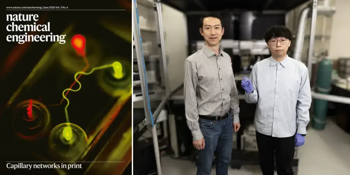 Notre Dame Researchers Can Now 3D Print Blood Capillary Networks Smaller Than a Hair