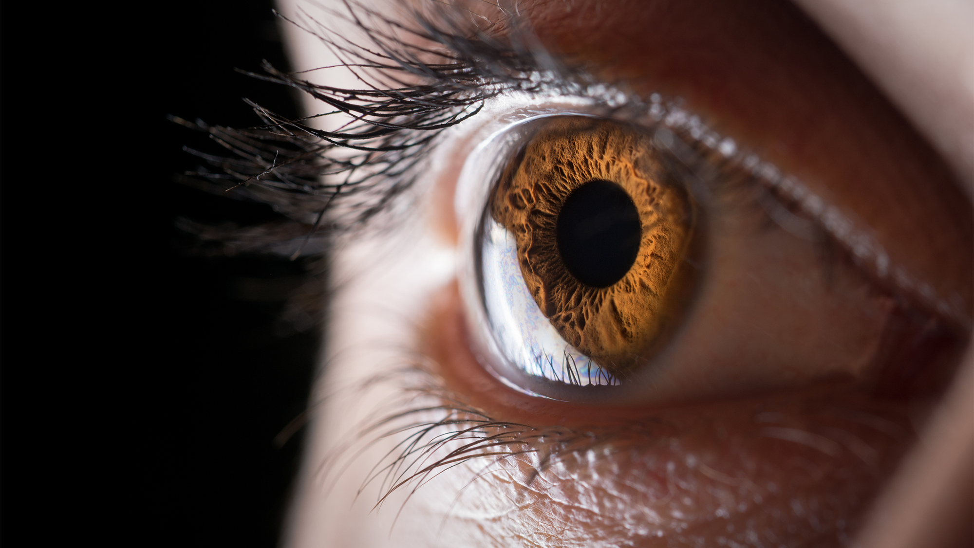 Scientists 3D Print Corneas to Fight Global Transplant Shortage