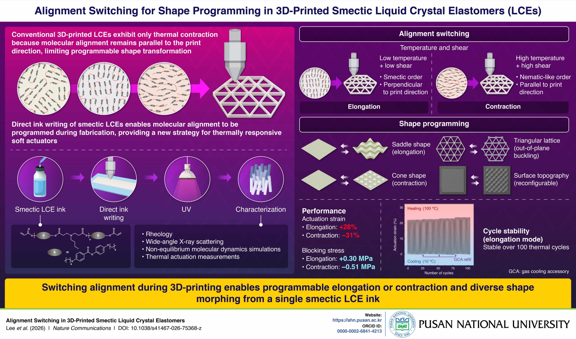 One 3D-Printed Material That Can Stretch or Contract on Demand