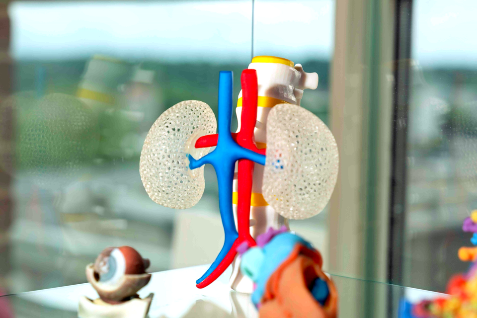 Ricoh Exits 3D Printed Healthcare With Myrava Acquisition